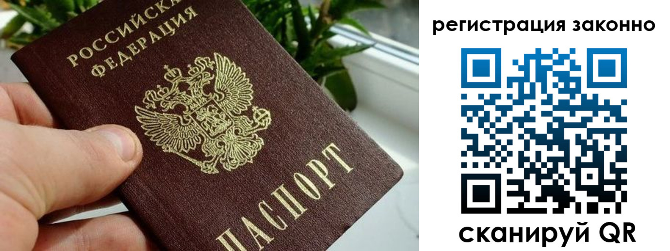 прописка гарантия в Дубне